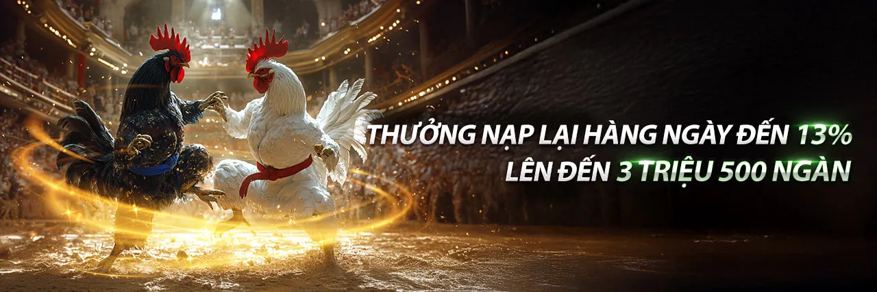 Đá Gà Trực Tuyến tại viva88